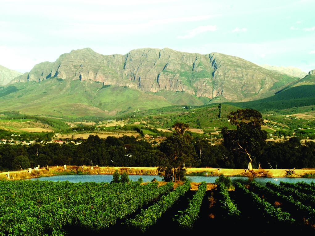 Cana Vineyard Guesthouse Paarl Extérieur photo
