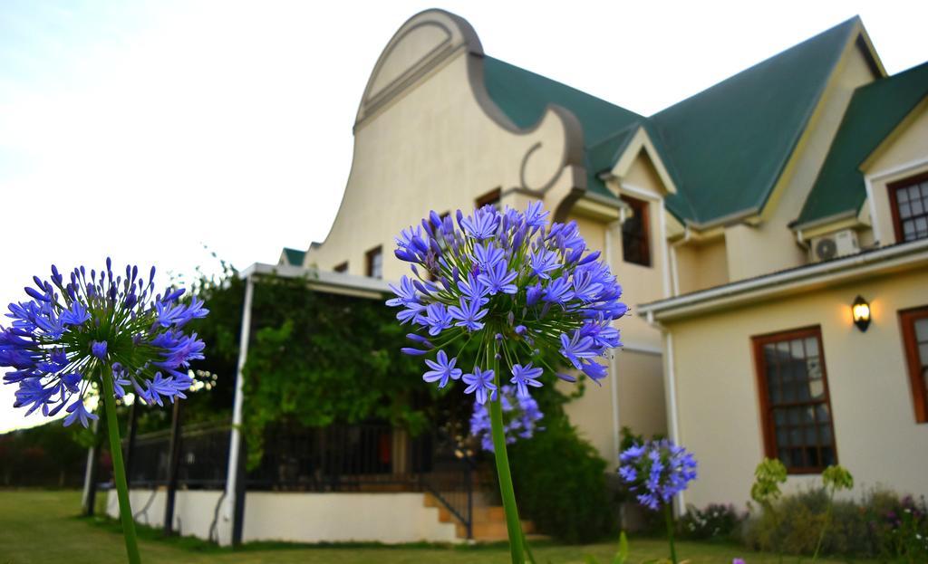 Cana Vineyard Guesthouse Paarl Extérieur photo