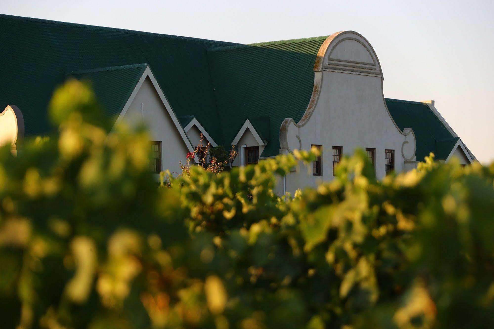 Cana Vineyard Guesthouse Paarl Extérieur photo